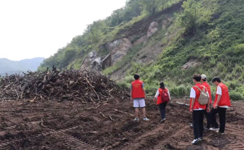 烟台：开展暑期三下乡社会实践活动 振兴绿色新乡村